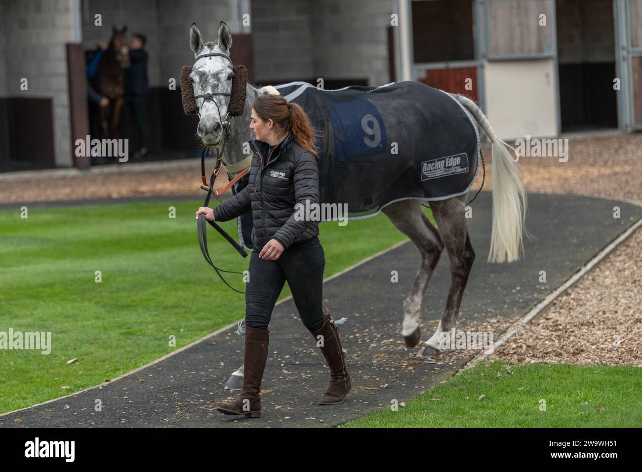 Grand Lord, geritten von Ciaran Getthings und trainiert von Stuart Edmunds, Rennen in Wincanton, 10. März 2022 Stockfoto