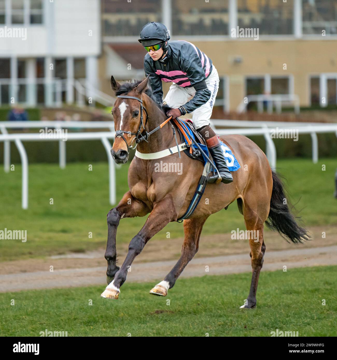 Lanspark, geritten von Brendan Powell und trainiert von Colin Tizzard, lief über Hürden in Wincanton, 10. März 2022 Stockfoto