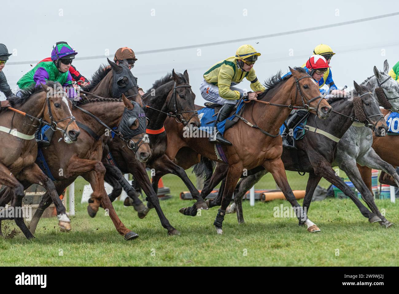 Pferde reihten sich beim Rennen über Hürden in Wincanton am 10. März 2022 an Stockfoto