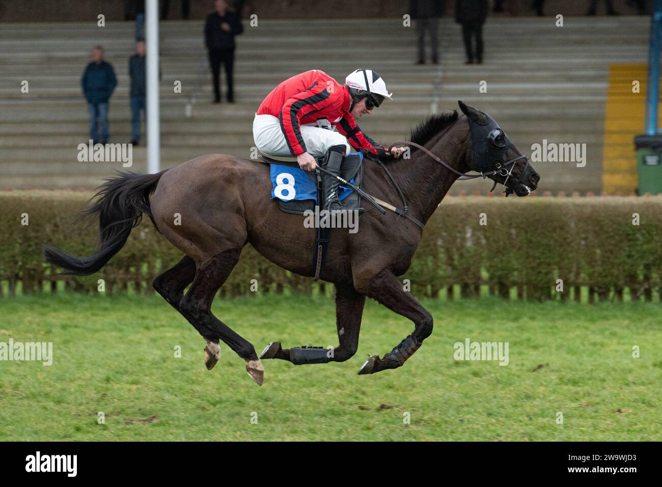 D’Jango, geritten von Philip Armson und trainiert von David Pipe, Zweiter über Hürden in Wincanton, 10. März 2022 Stockfoto