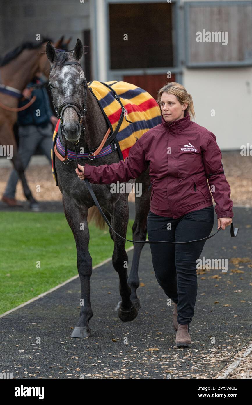 Meraki Mist, geritten von David Noonan und trainiert von Simon Earle, Rennen im Stoßfänger in Wincanton am 10. März 2022 Stockfoto