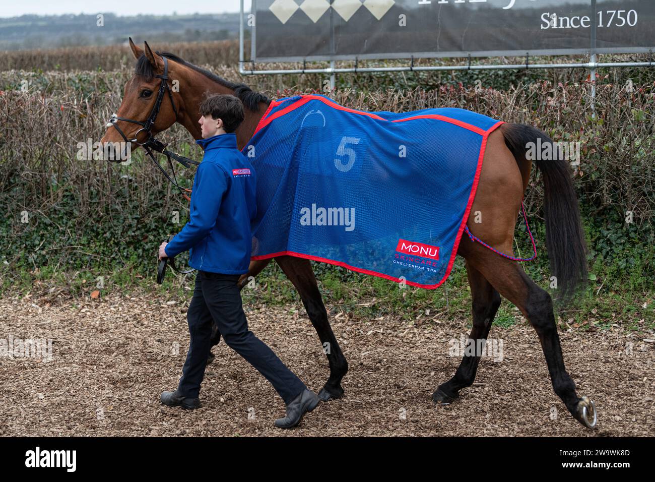 Tahmuras, geritten von Harry Cobden und trainiert von Paul Nicholls, gewinnt am 10. März 2022 den Bumper in Wincanton Stockfoto