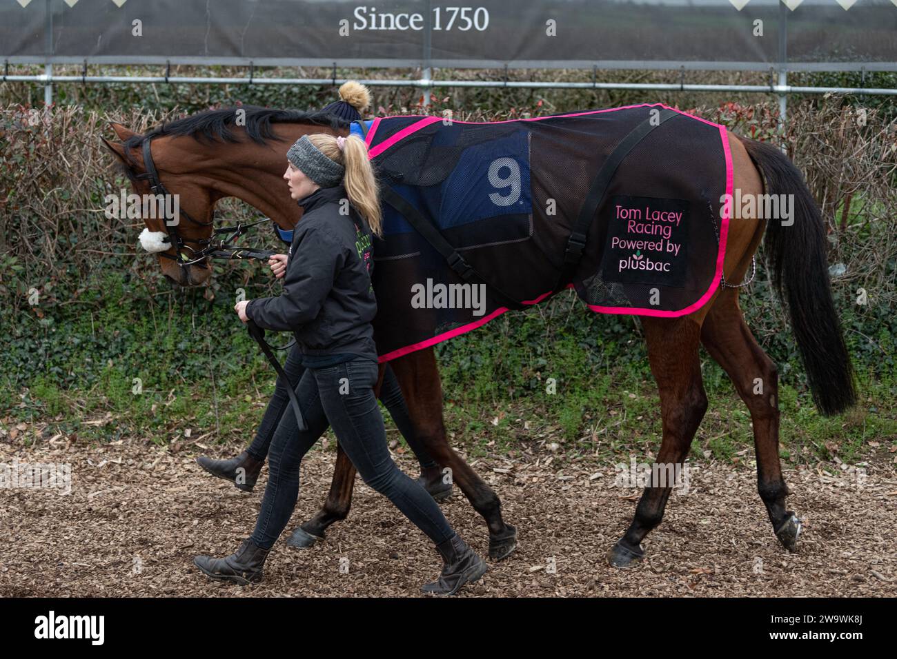 Blow Your Wad, geritten von Stan Sheppard und trainiert von Tom Lacey, läuft 2. Platz in the Bumper in Wincanton, 10. März 2022 Stockfoto