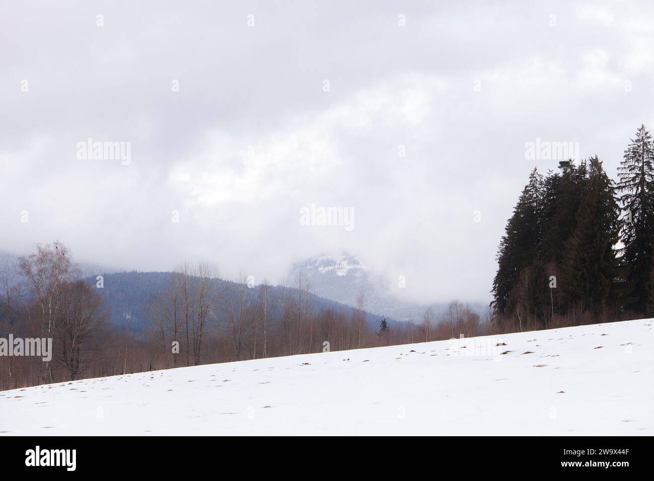 Blick auf eine Berglandschaft im Winter mit Schnee und Wald Fichte (Picea abies) Stockfoto