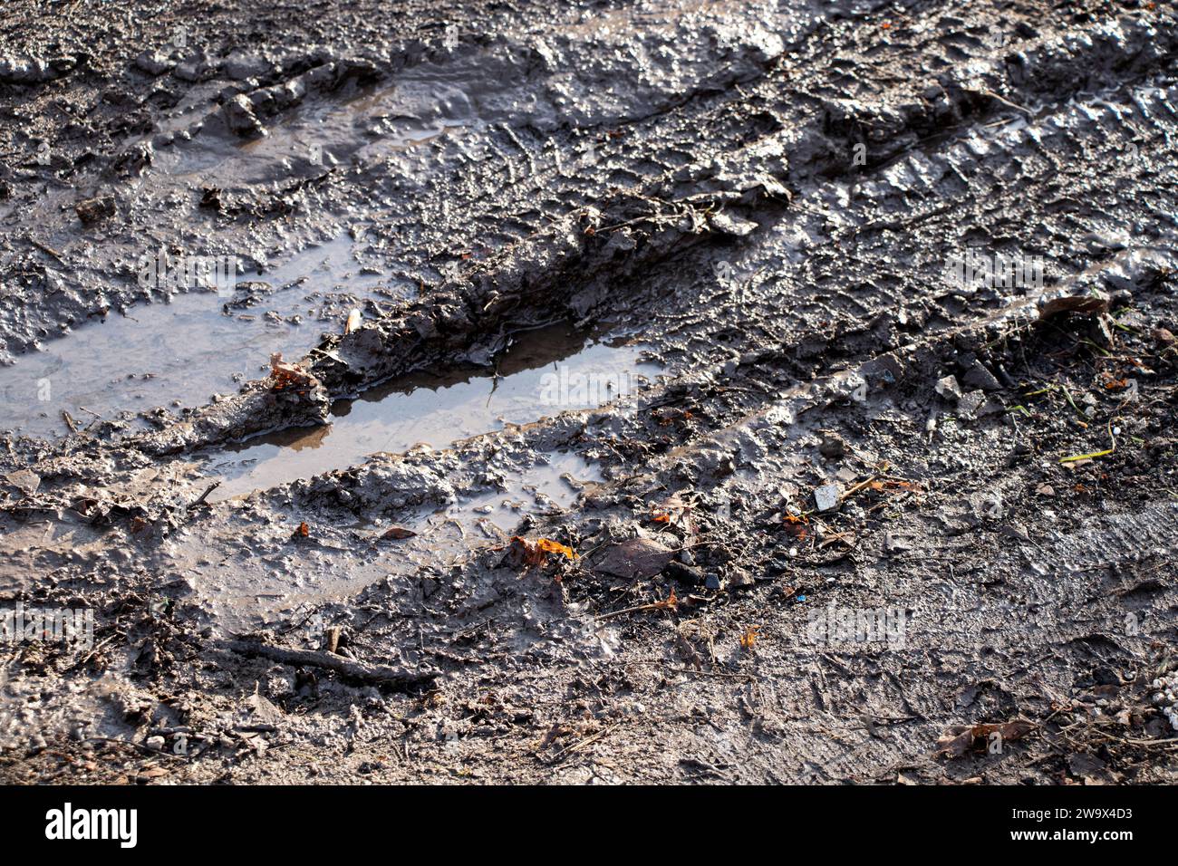 Nasser Boden auf einer Straße in der Ukraine tagsüber in der Sonne als Hintergrund, Boden Stockfoto