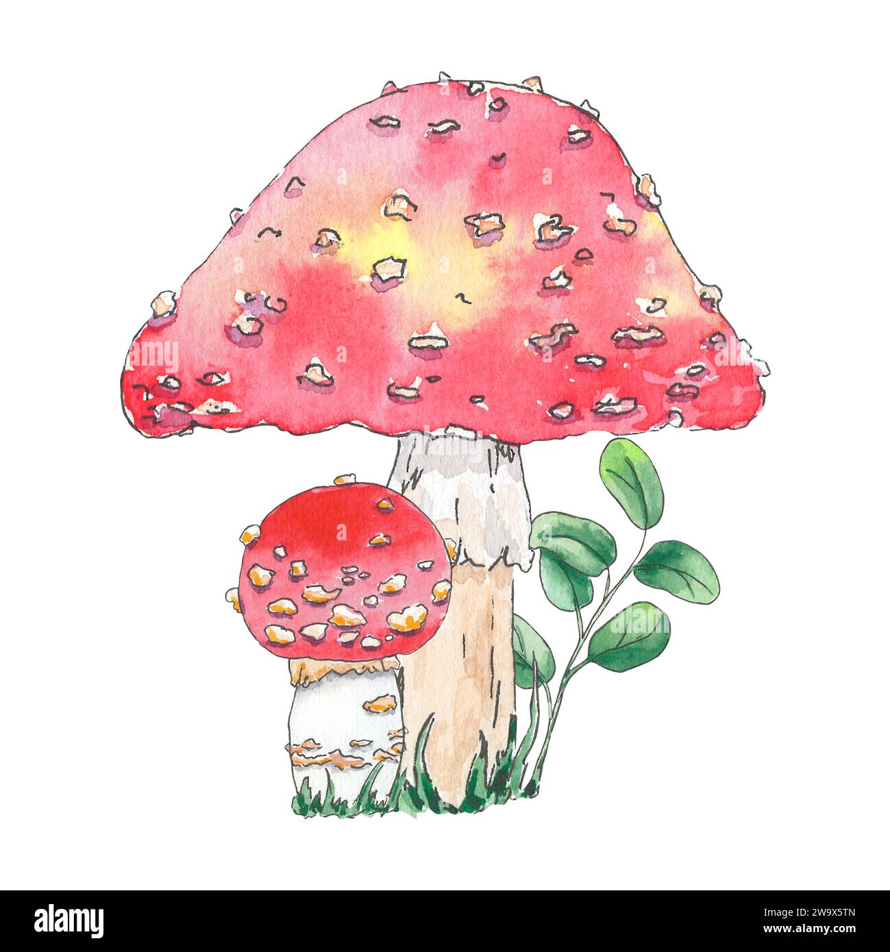 Aquarell-Mashrooms fliegen Agarillustration handgezeichnet in botanischem Stil. Naturkunst für Design Logo, Postkarte, Karte, Poster, Tapete, Textil Stockfoto
