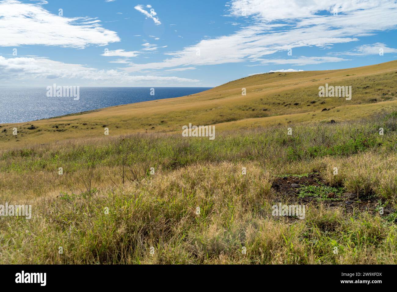 Sanfte Hügel mit trockenem Grasland treffen auf das weitläufige Blau des Pazifiks an Mauis heiterer Südküste. Stockfoto