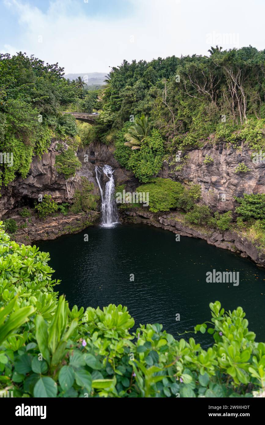 Ein ruhiger Wasserfall fällt in einen ruhigen natürlichen Pool, eingebettet in die üppige Landschaft des Nationalparks Haleakalā abseits der Piilani-Autobahn. Stockfoto