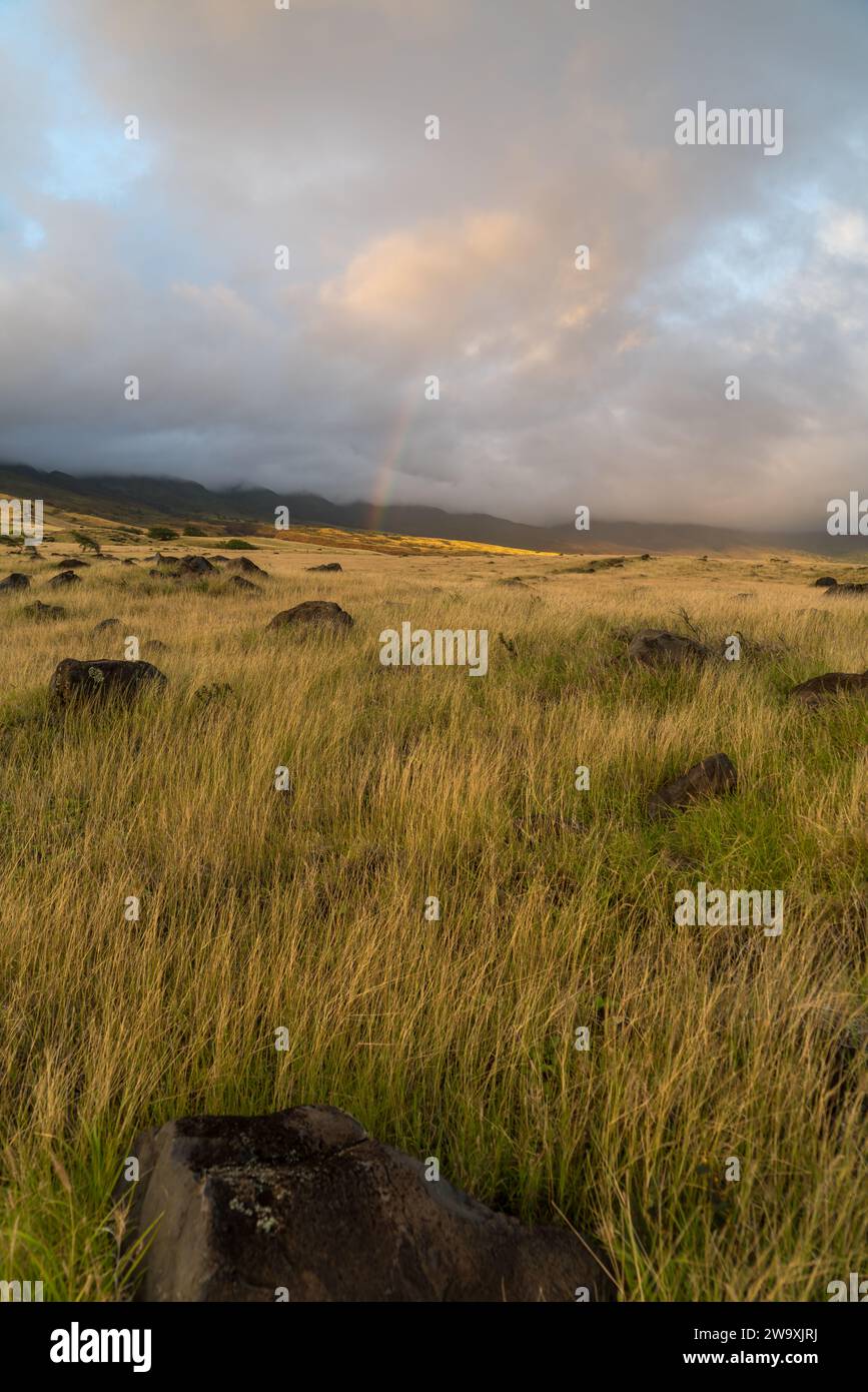 Ein Regenbogen taucht über den Hirtenfeldern auf Mauis Weg nach Haleakala auf. Stockfoto