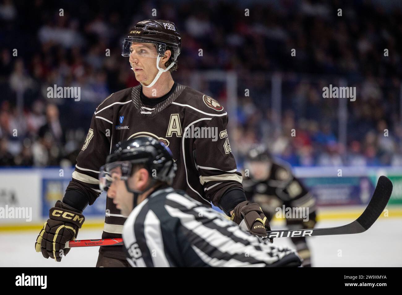 Rochester, New York, USA. Dezember 2023. Hershey spielt Mike Sgarbossa (23) Skates in der ersten Periode gegen die Rochester Americans. Die Rochester Americans veranstalteten die Hershey Bears in einem Spiel der American Hockey League in der Blue Cross Arena in Rochester, New York. (Jonathan Tenca/CSM). Quelle: csm/Alamy Live News Stockfoto