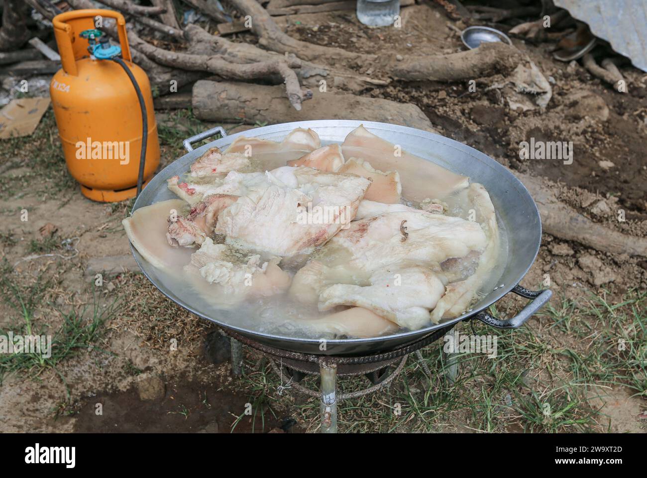 San Jose del Monte, Philippinen. 31. Dezember 2023: Nach der traditionellen Schlachtung an Silvester, Kochen von Schweinebauch. Das ganze Schwein wird nach verschiedenen Rezepten zubereitet. Im Nordosten des urbanisierten Manilas erlangt das philippinische ländliche Leben seine Rechte zurück, und hausgemachte Schlachtung ist eine gängige Praxis, weit entfernt von industriellen Standards oder Tierschutz. Voller Aberglauben (kein Huhn/Fisch), müssen philippinische Familien Mitternacht warten, um sich auf Media Noche zu versammeln, ein festliches Abendessen, um das Ende der längsten Weihnachts- und Weihnachtszeit der Welt zu feiern. Quelle: Kevin Izorce/Alamy Live News Stockfoto