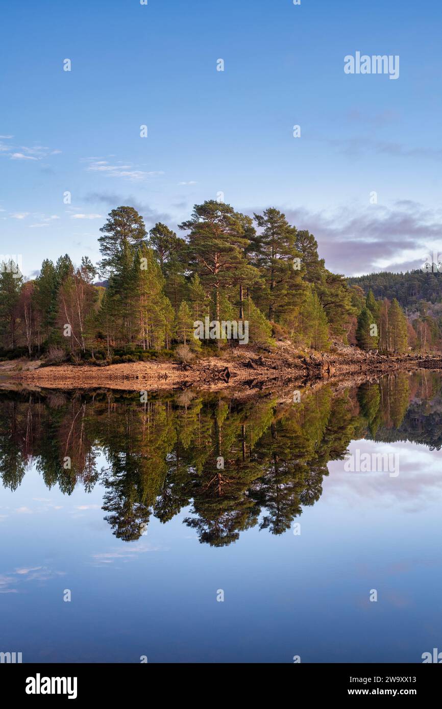 Schottische Kiefern spiegeln sich in Loch Beinn a' Mheadhoin. Glen Affric, Highlands, Schottland Stockfoto