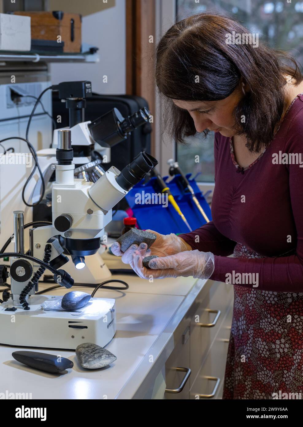 PRODUKTION - 21. Dezember 2023, Sachsen-Anhalt, Halle (Saale): Objektarchäologin Laura Dietrich untersucht eine Nachbildung einer steinzeitlichen Axt in einem Labor der Universität Halle. Die Wissenschaftlerin untersucht die Spuren von Steinäxten aus der reichen Sammlung des Landesmuseums für Vorgeschichte in Halle. Von jedem der ausgewählten Originalteile wurden Duplikate erstellt. Mit diesen Kopien werden verschiedene Materialien wie Holz und Knochen bearbeitet. Die Spuren der Verwendung auf den Kopien werden dann mit den Originalen verglichen. Die Wissenschaftler wollen herausfinden, welche Rolle die Werkzeuge spielten, als sich die Menschen in Zentral-Germa niederließen Stockfoto