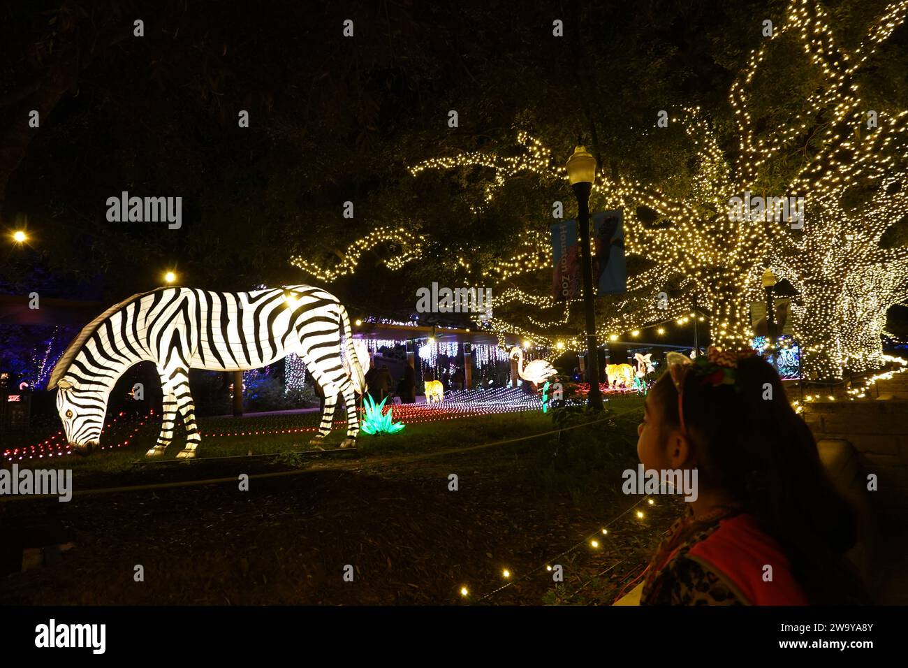 (231231) -- HOUSTON, 31. Dezember 2023 (Xinhua) -- Ein Kind besucht die Houston Zoo Lights in Houston, Texas, USA, 30. Dezember 2023. Die Houston Zoo Lights laufen vom 17. November 2023 bis 7. Januar 2024. (Xinhua/Xu Jianmei) Stockfoto