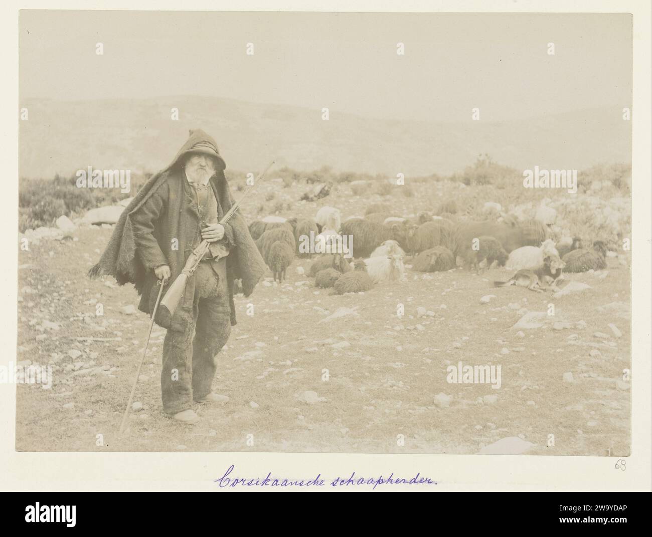 Korsische Schafhirte, ca. 1886 - ca. 1896 fotografieren Sie Einen Schafhirten mit einer Pistole mit einer großen Schafherde in der bergigen korsischen Landschaft. Fotografische Unterstützung von Korsika. Karton Albumendruck Korsika Stockfoto