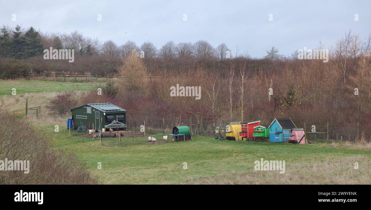 Curdle Hill Farm, Chadlington, Oxfordshire ( Diddly Squat Farm ) Freilandhütten und Hühner auf Jeremy Clarksons Diddly Squat Farm Stockfoto