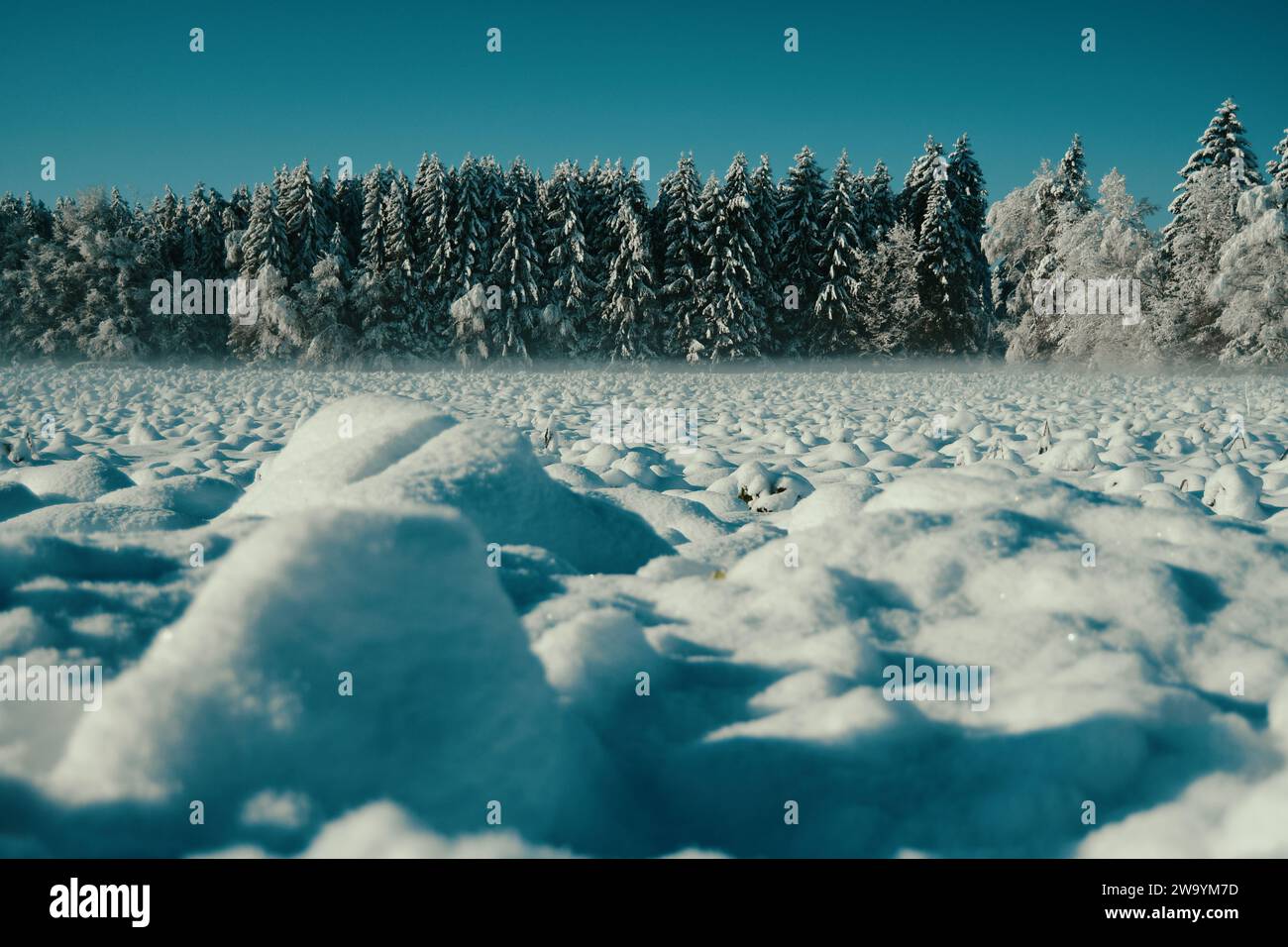 Winterlandschaft in Ried Bad Waldsee Stockfoto