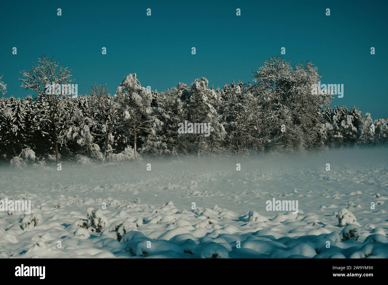Winterlandschaft in Ried Bad Waldsee Stockfoto