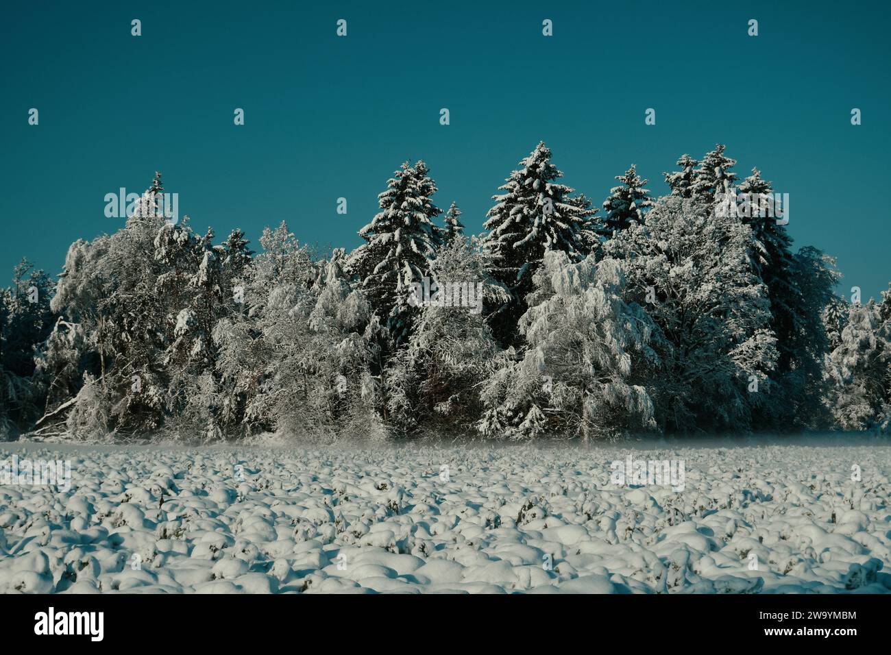 Winterlandschaft in Ried Bad Waldsee Stockfoto