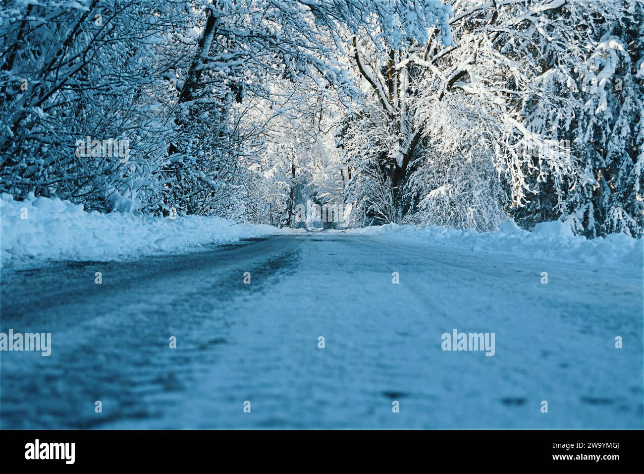 Winterlandschaft in Ried Bad Waldsee Stockfoto