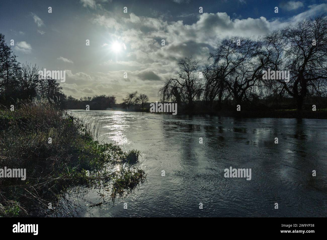 Schnell fließender Fluss mit starkem Sonnenschein und tiefen Schatten, Bäumen am Ufer, Sonne im Wasser reflektiert, gedämpfte Farben, dunkle Flusslandschaft im Winter Stockfoto