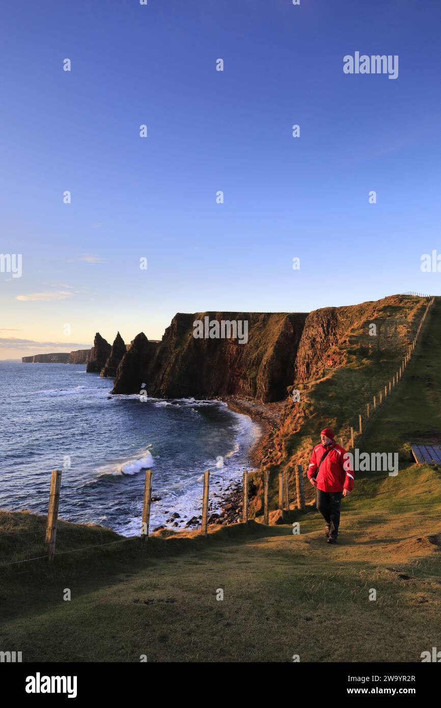 Walker at the Duncansby Sea Stacks, Duncansby Head, Caithness, Nordostküste Schottlands, Großbritannien Stockfoto