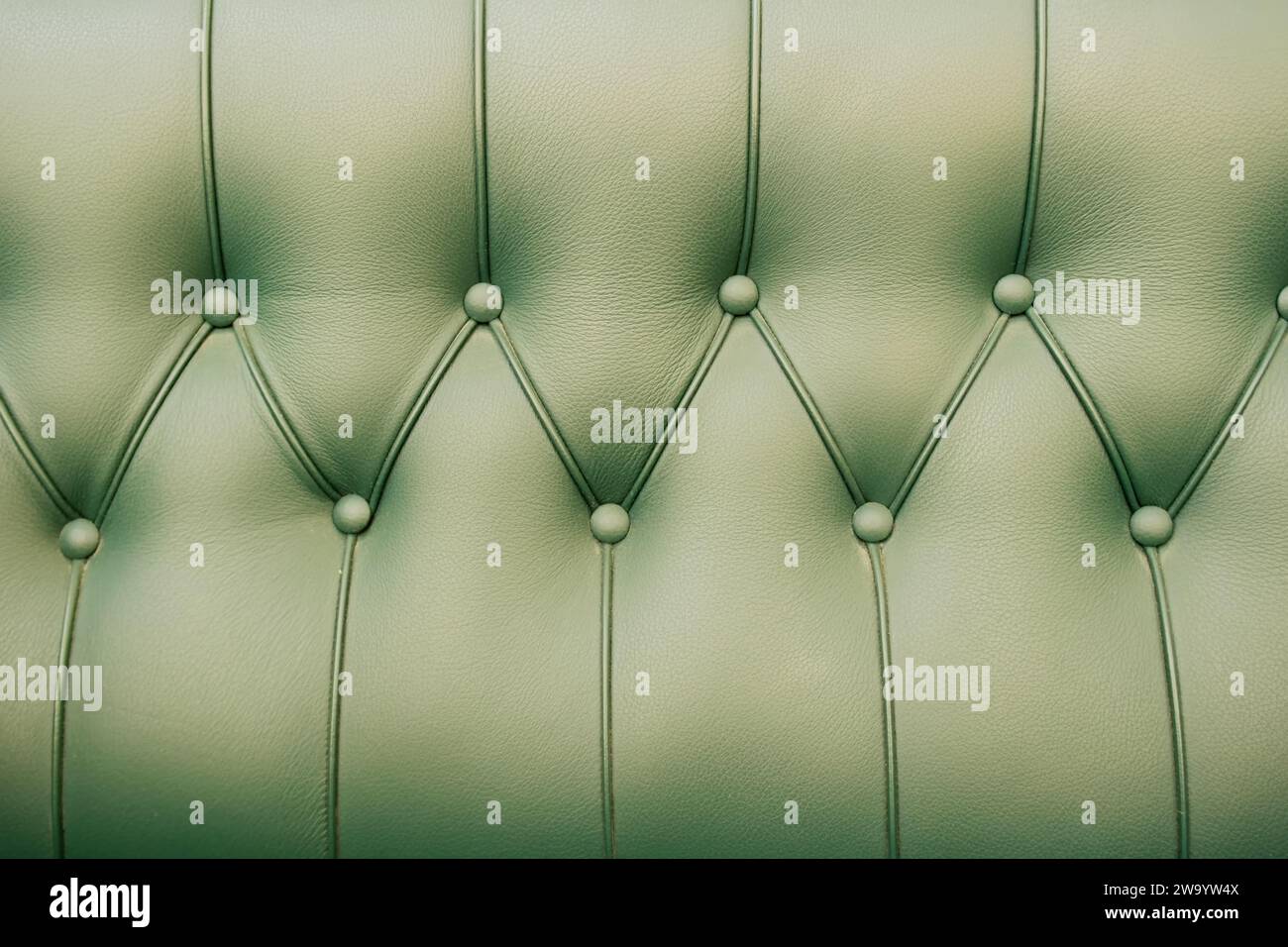 Hintergrund mit grünem Leder eines Sofas Stockfoto