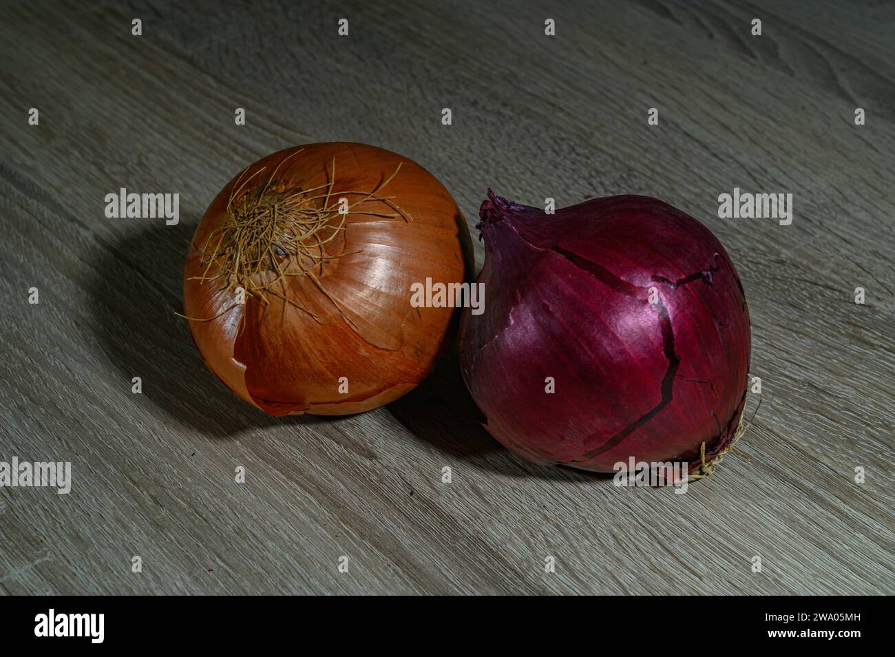 Zwei Zwiebeln, eine orange spanische Zwiebel und eine rote oder rote Zwiebel, ganz, roh, ungeschält weiß und orange auf einem hellen Holztisch Stockfoto