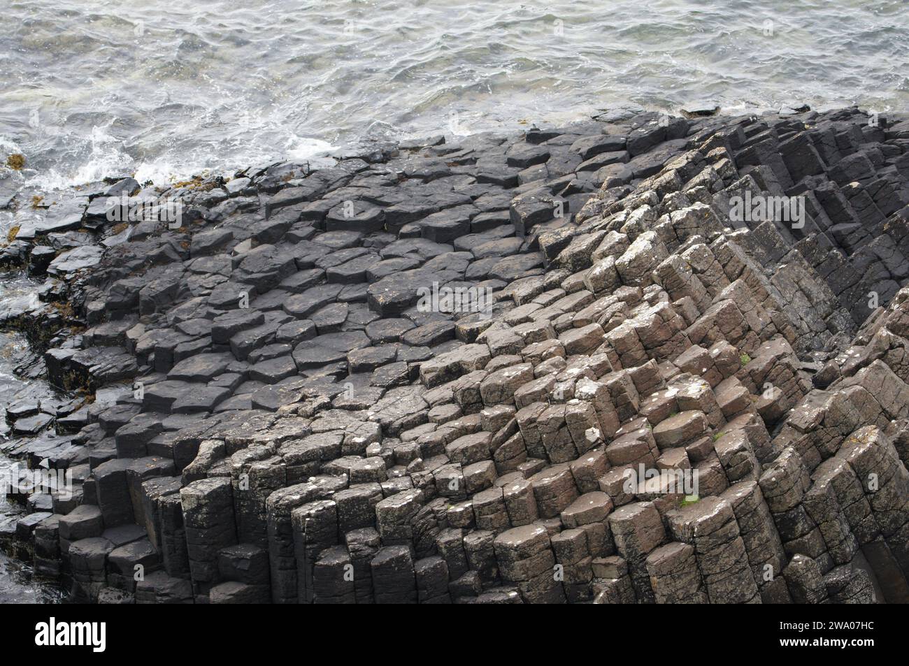 Sechseckige Basaltsäulen auf der Ardmeanach Peninsula auf der Inner Herbrides Isle of Mull, Schottland, Großbritannien Stockfoto