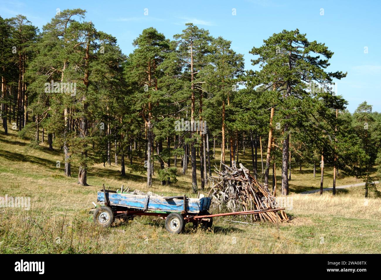 Ein alter, schäbiger Wagen mit Gummireifen für den Transport von Brennholz in Zlatibor, Serbien Stockfoto