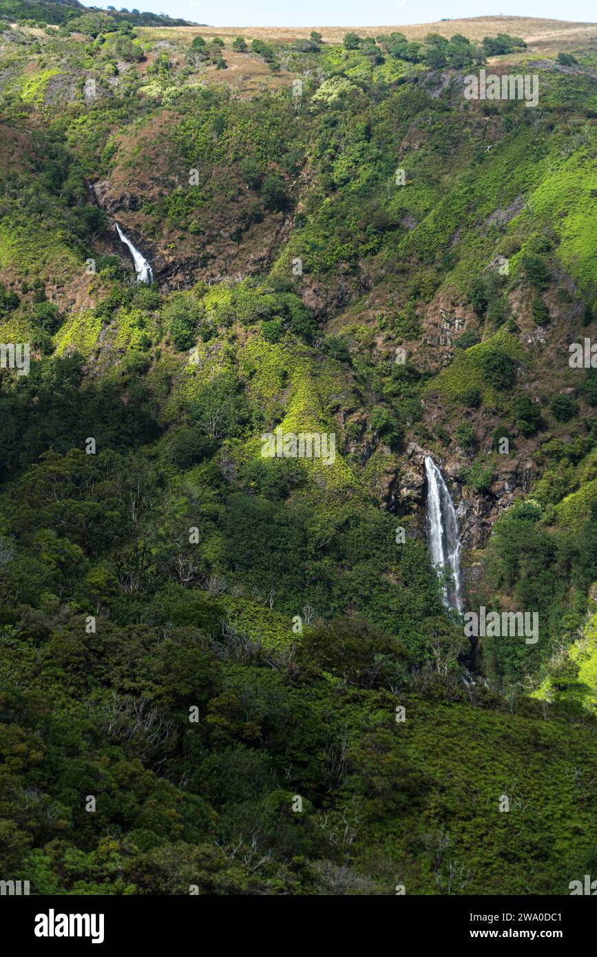 Kaskadierende Wasserfälle schmücken den Waihe'e Ridge Trail in Mauis grünen Hügeln. Stockfoto