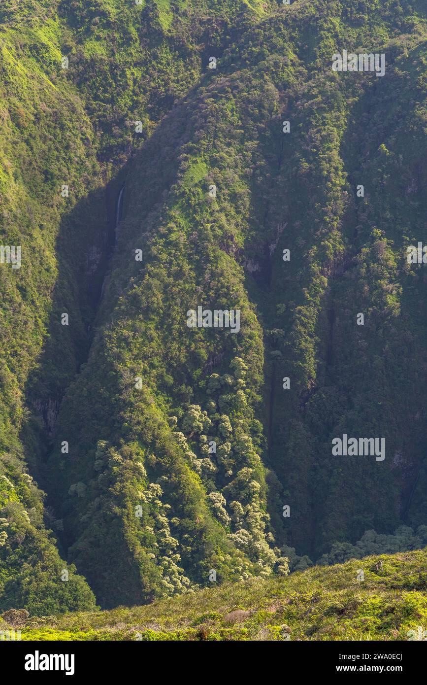 Ein abgeschiedener Wasserfall, eingebettet in die Spalten der West Maui Mountains, von Waihe'e Ridge aus gesehen. Stockfoto