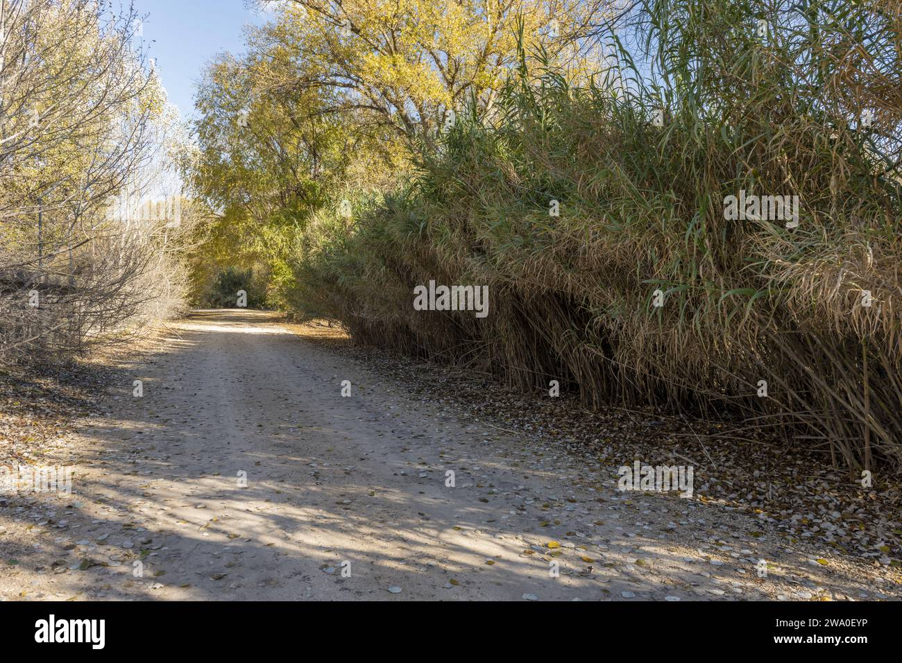 Eine unbefestigte Straße neben dem Ufer eines Flusses voll Stockfoto