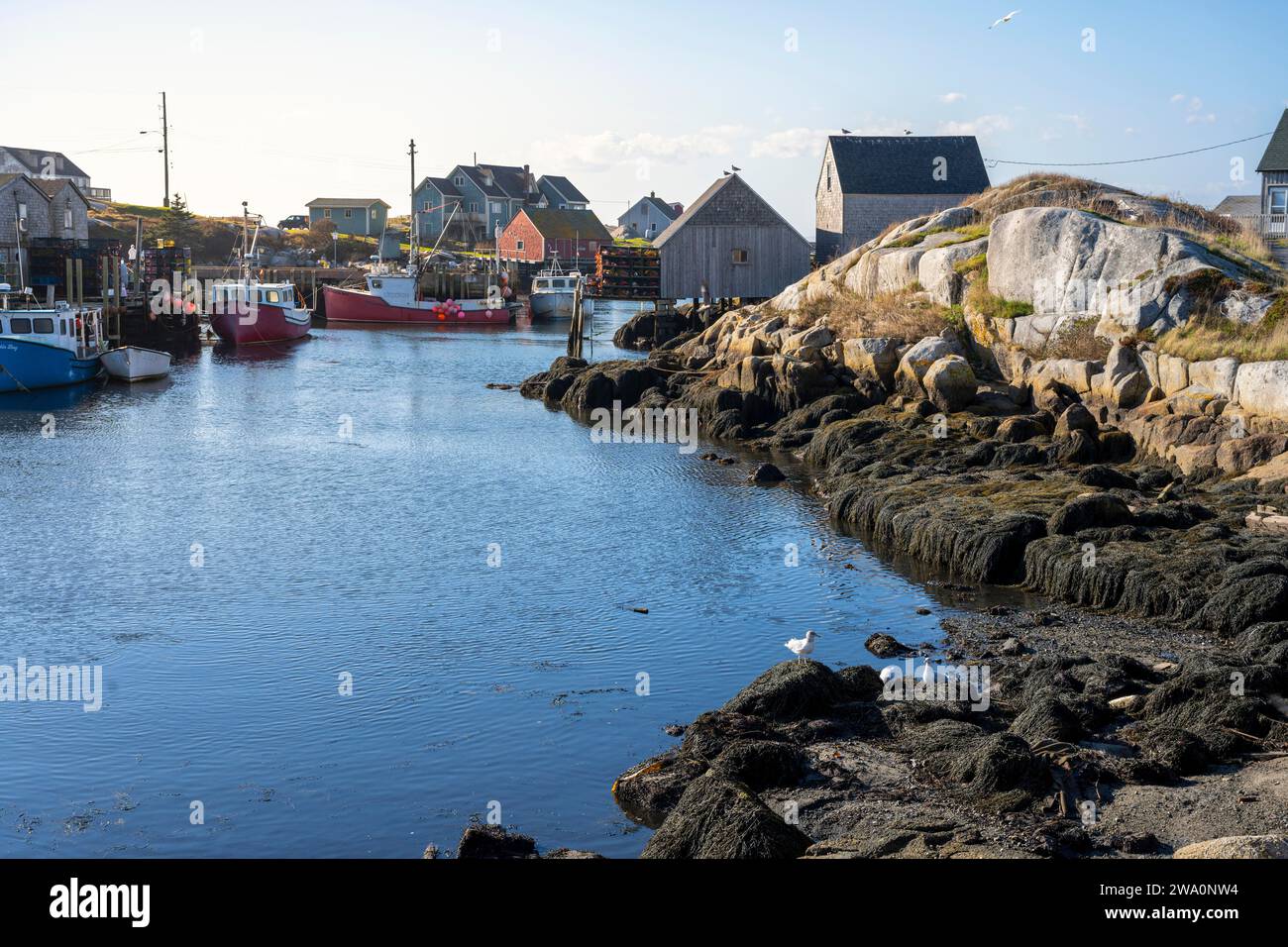 Peggys Cova kleines Fischerdorf Kanada Stockfoto