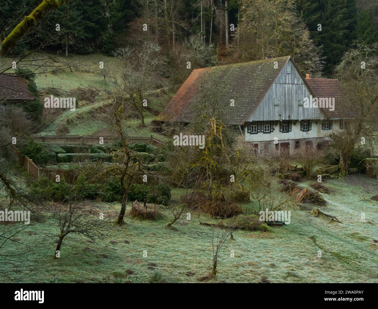 Schwarzwaldhof bei Schramberg, Schwarzwald, Baden-Württemberg, Deutschland, Europa Stockfoto