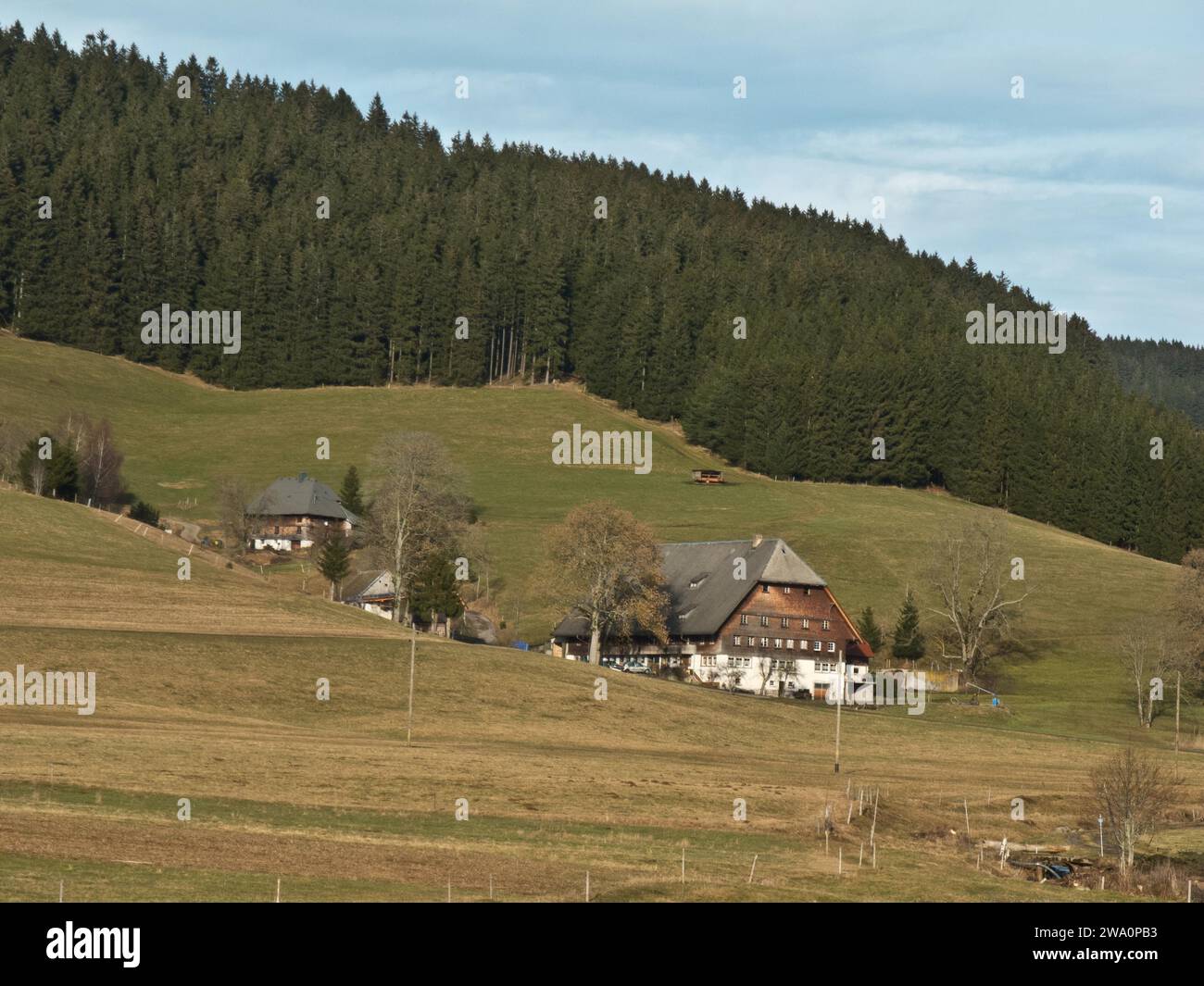 Schwarzwaldhof, bei Neustadt, Schwarzwald, Baden-Württemberg, Deutschland, Europa Stockfoto