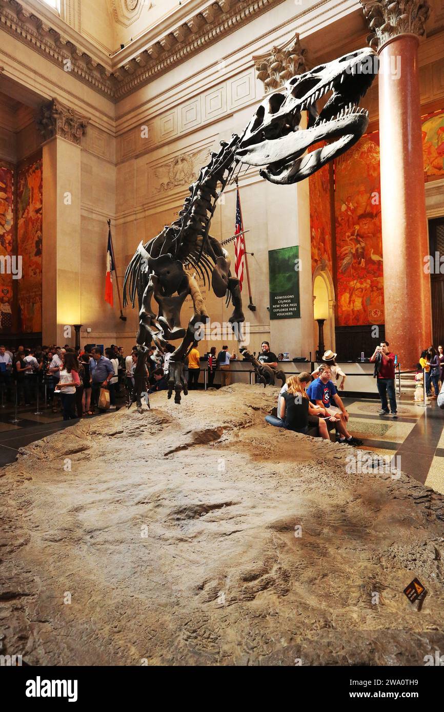 Blick in der zentralen Lobby des Museum of Natural History in New York City, NY. (Foto: Sean Drakkes/Alamy) Stockfoto