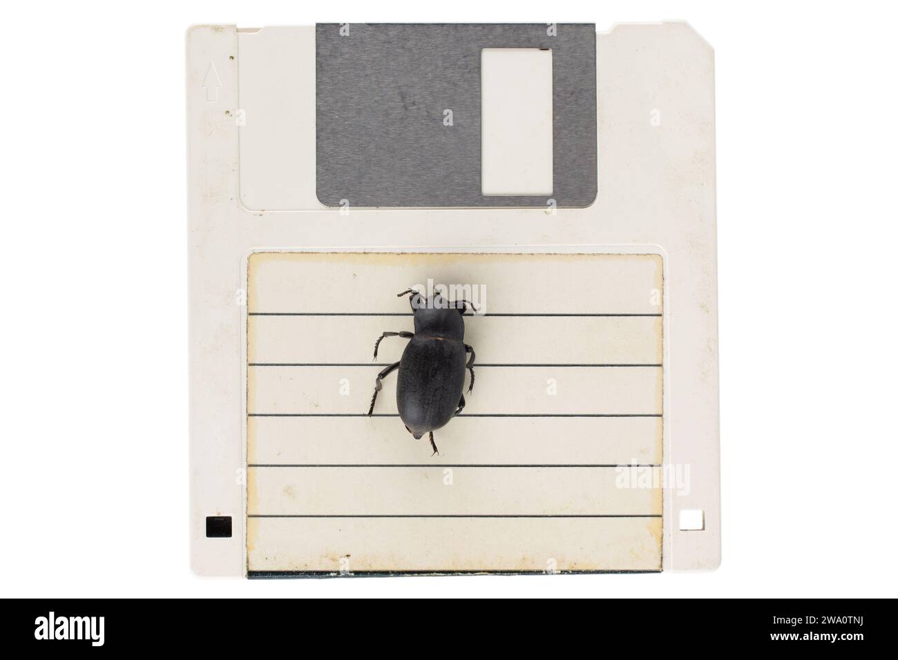Bug auf Retro-Diskette. Computerfehlerkonzept. Isoliert auf weißem Hintergrund. Stockfoto