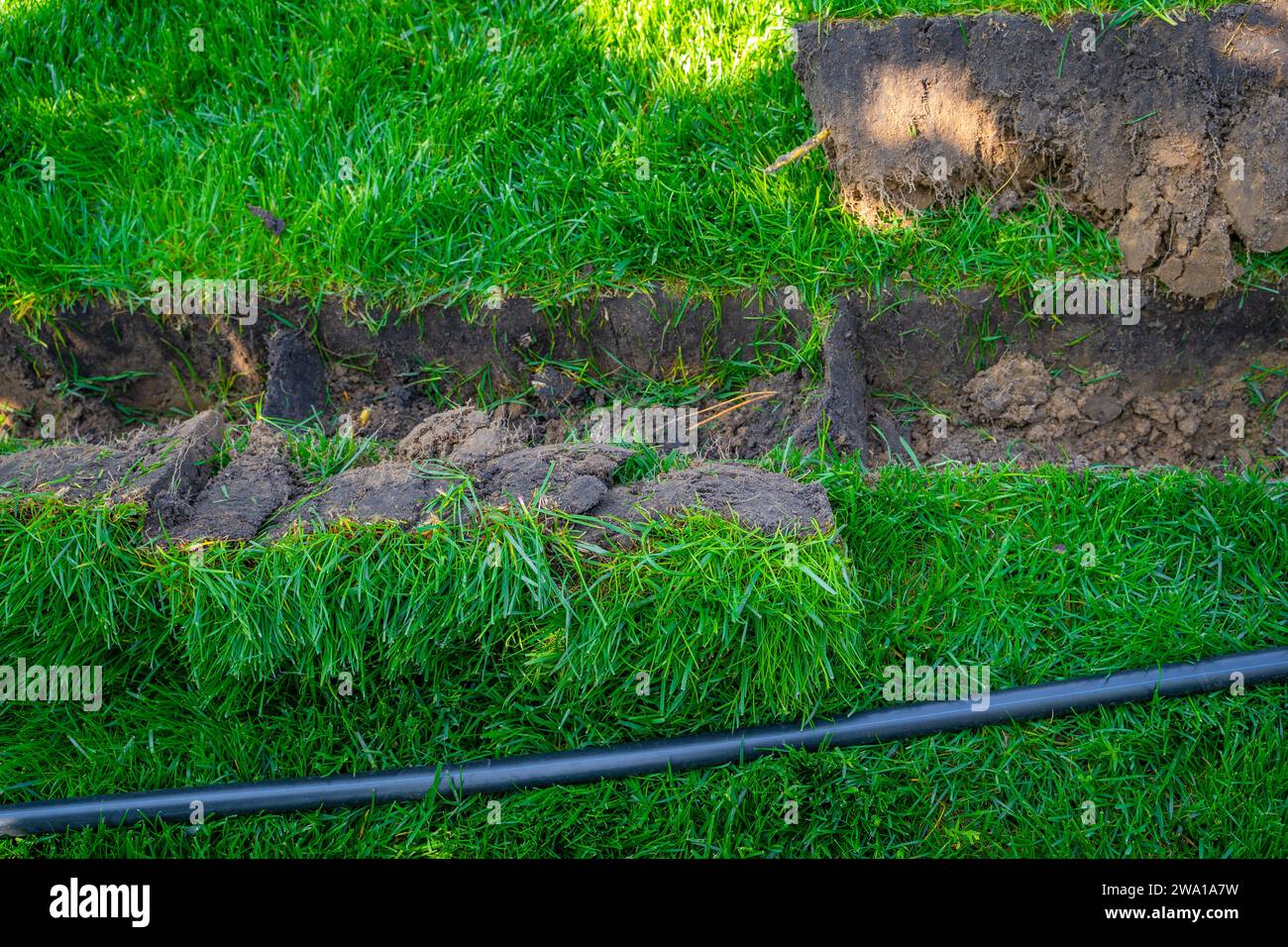 Selbstinstallation der Bewässerung mit einem einziehbaren Sprinkler im fertiggestellten Rasen. Verlegung von Wasserrohren mit Sprühgeräten unter dem Rasen zur Bewässerung. Stockfoto