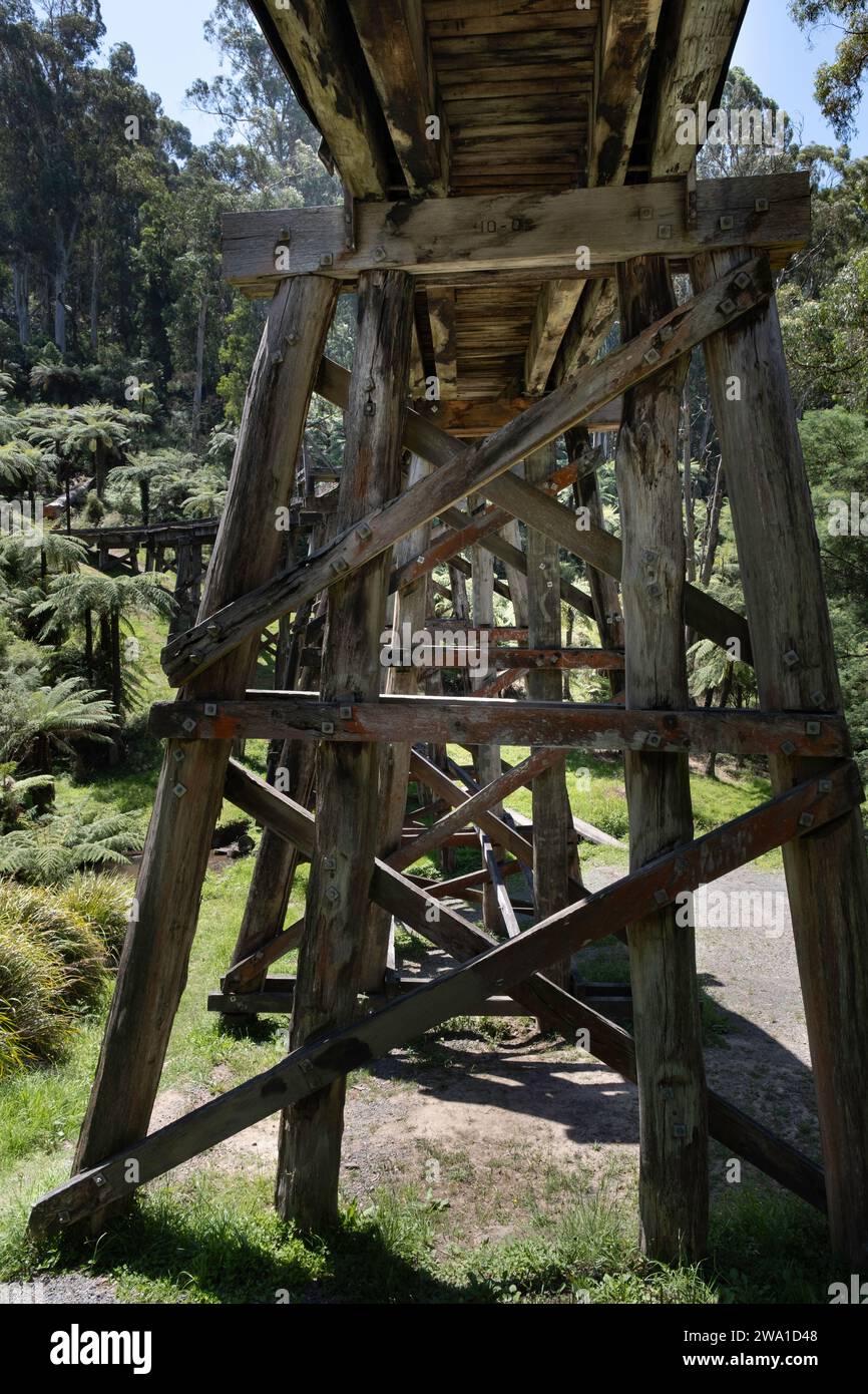 Alte hölzerne Monbulk berühmte Puffing Billy-Railway Trestle Bridge, erbaut 1889, in den Dandenong Ranges in der Nähe von Melbourne, Victoria, Australien Stockfoto