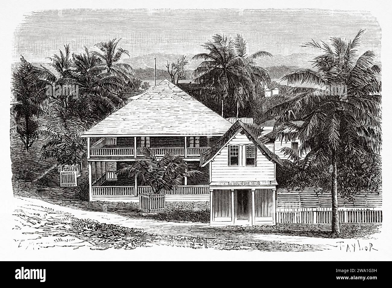 Traditionelles Haus zwischen Palmen. Colon, Republik Panama. Zentralamerika. Erkundungen im Isthmus von Panama und Darien 1876-1878 von Armand Reclus (1843–1927) Stich aus dem 19. Jahrhundert aus Le Tour du Monde 1880 Stockfoto