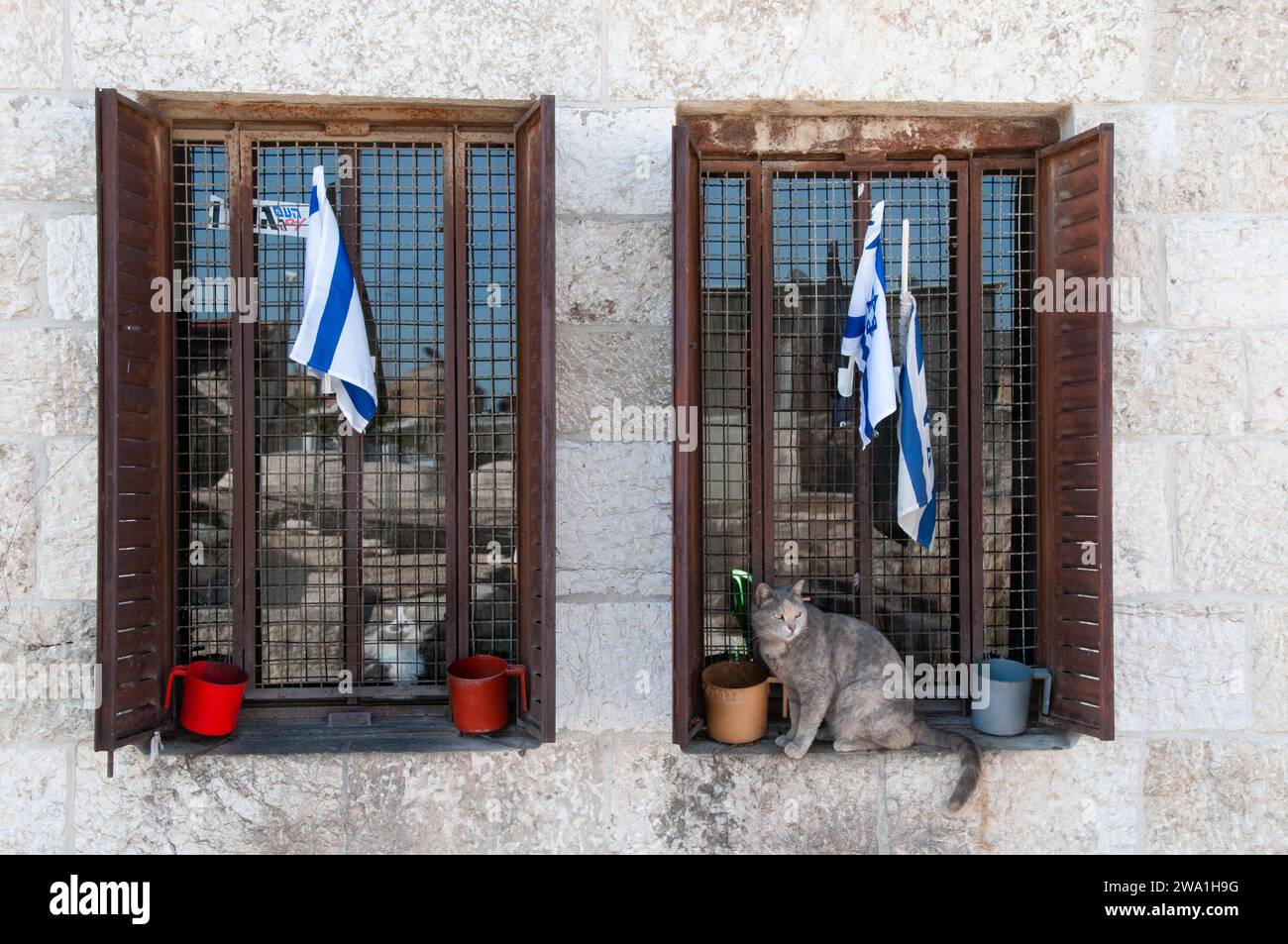 Zwei Jerusalem-Katzen, eine in einem Fenster mit Blick nach draußen und eine zweite blickt von einer Barsche auf einer Steinfensterbank eines Wohnhauses in Jerus Stockfoto