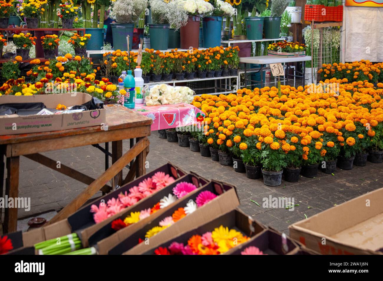 Blumen zum Verkauf auf dem Jamaica Market in Mexiko-Stadt, Mexiko Stockfoto