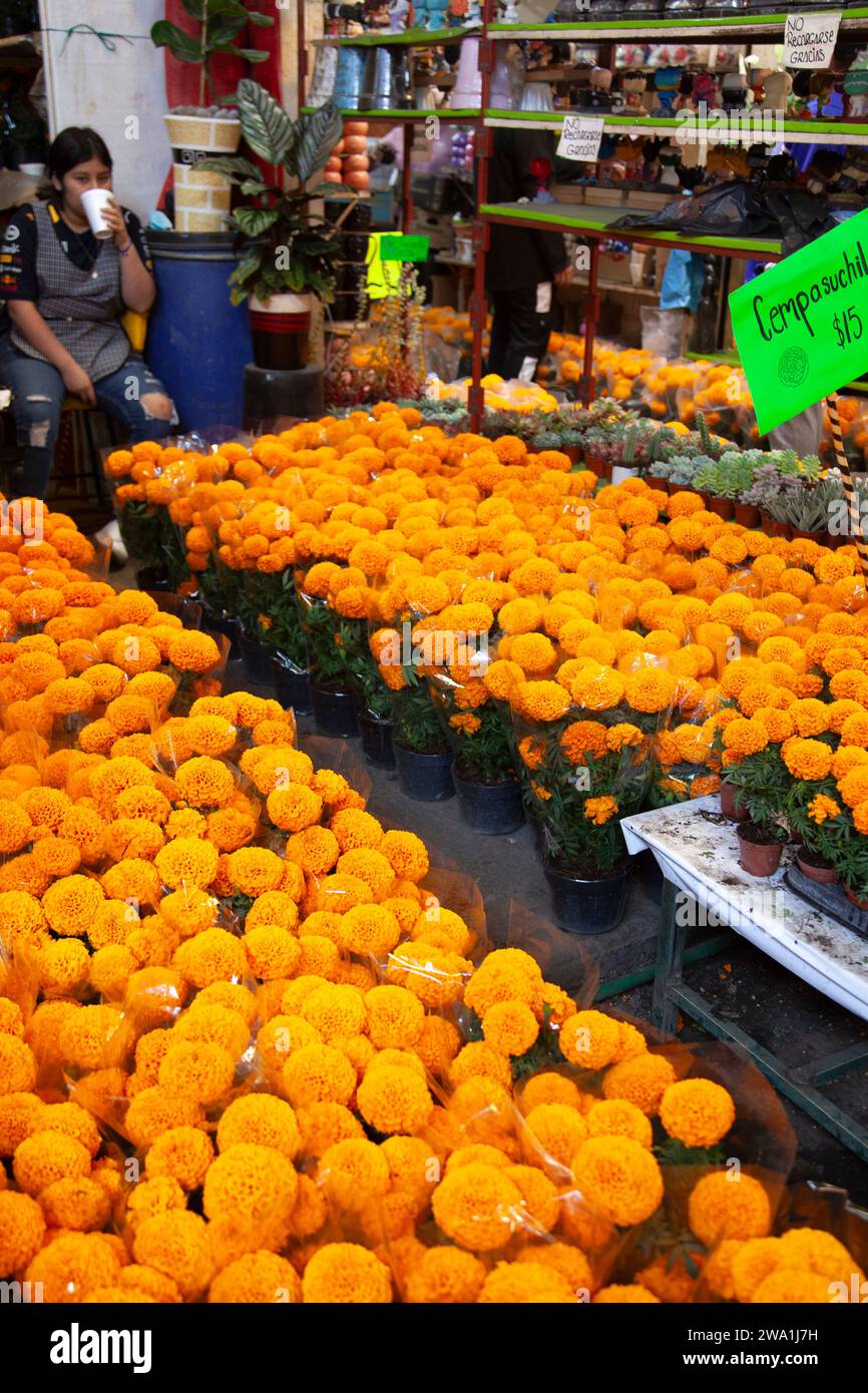 Ringelblumen zum Verkauf auf dem Jamaica Market in Mexiko-Stadt, Mexiko Stockfoto