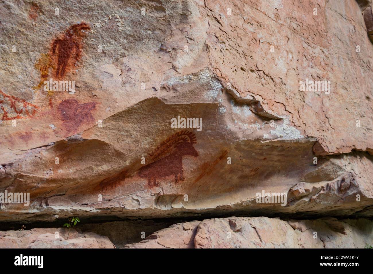 Rafting der Yampa Stockfoto