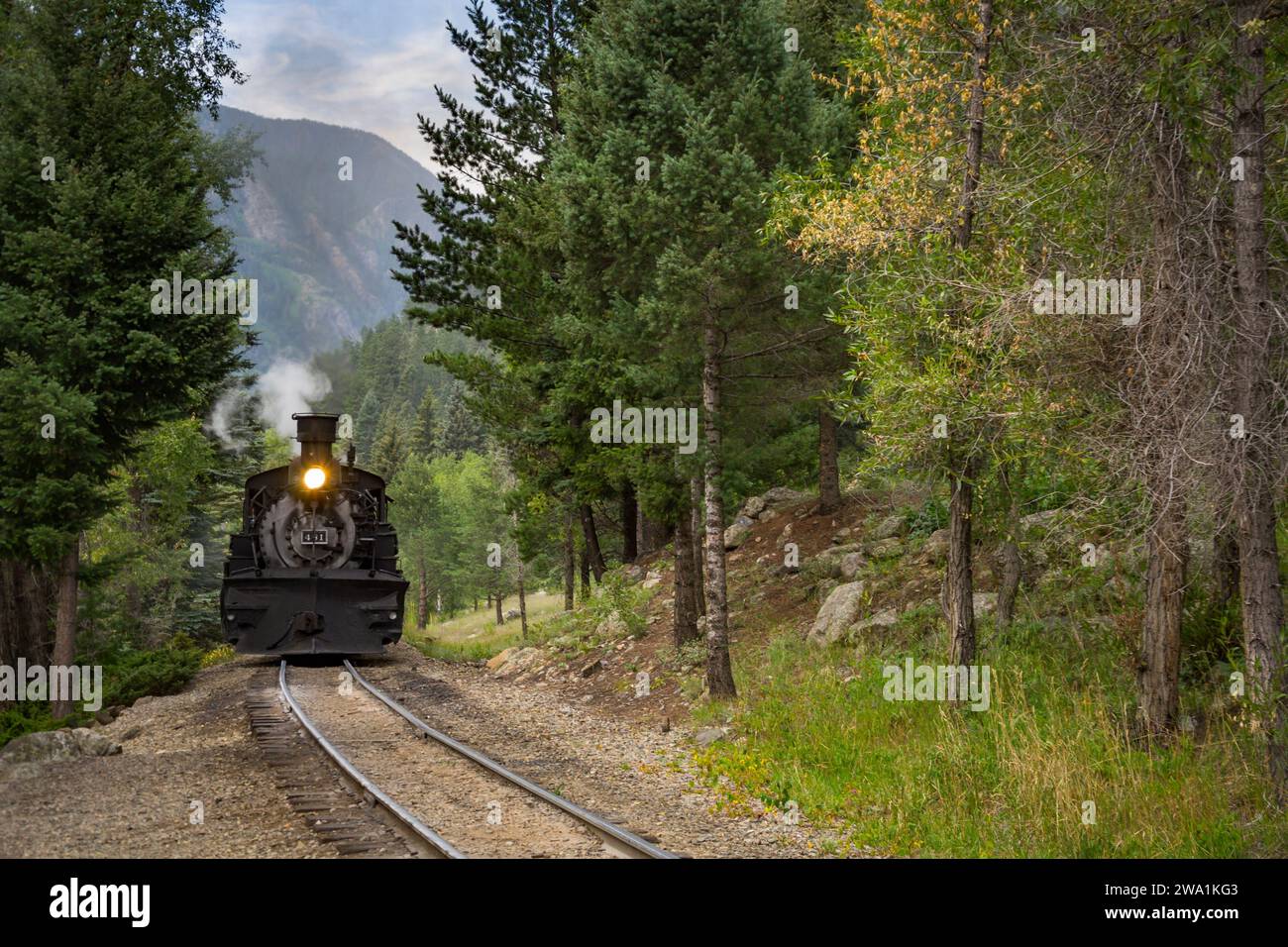 Die Durango Silverton Narrow Gauge Railroad An Der Haltestelle Needleton Entlang Des Animas River Stockfoto