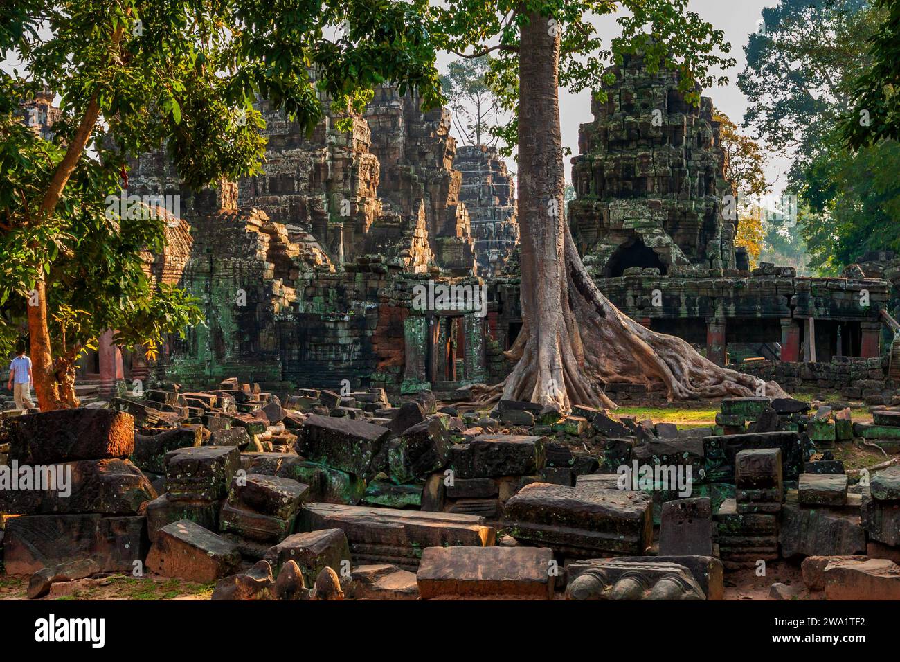 TA Prohm Tempelruinen in Angkor Complex, Siem Reap, Kambodscha. Gegründet im 12. Jahrhundert vom Khmer-König Jayavarman VII. Als Mahayana-buddhistische mona Stockfoto