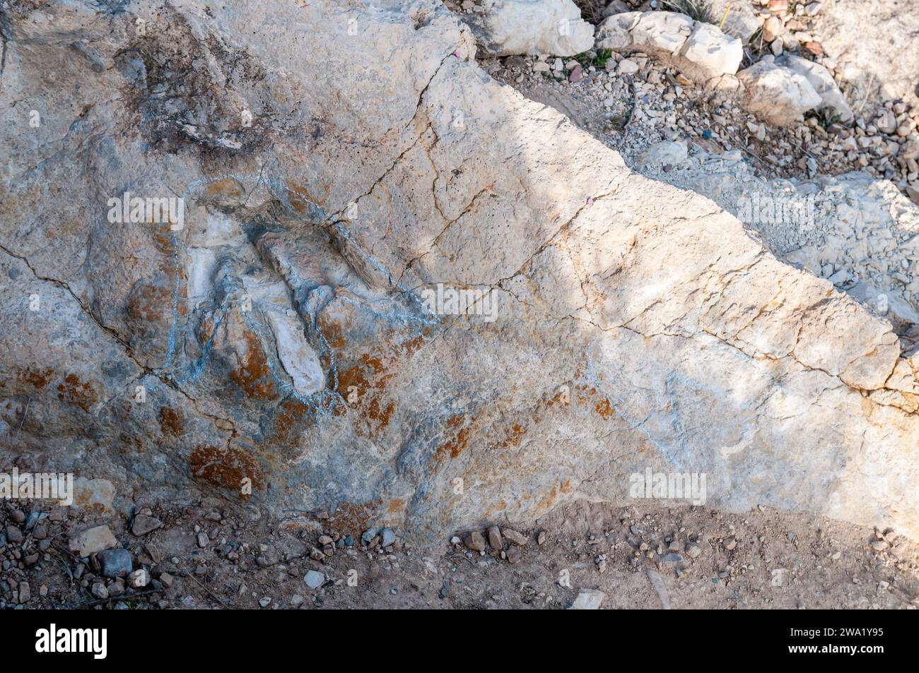 Fossilienspur, paläontologische Fundorte von Wirbeltieren aus der frühen Kreidezeit, Villanueva de Huerva, Aragon, Spanien Stockfoto