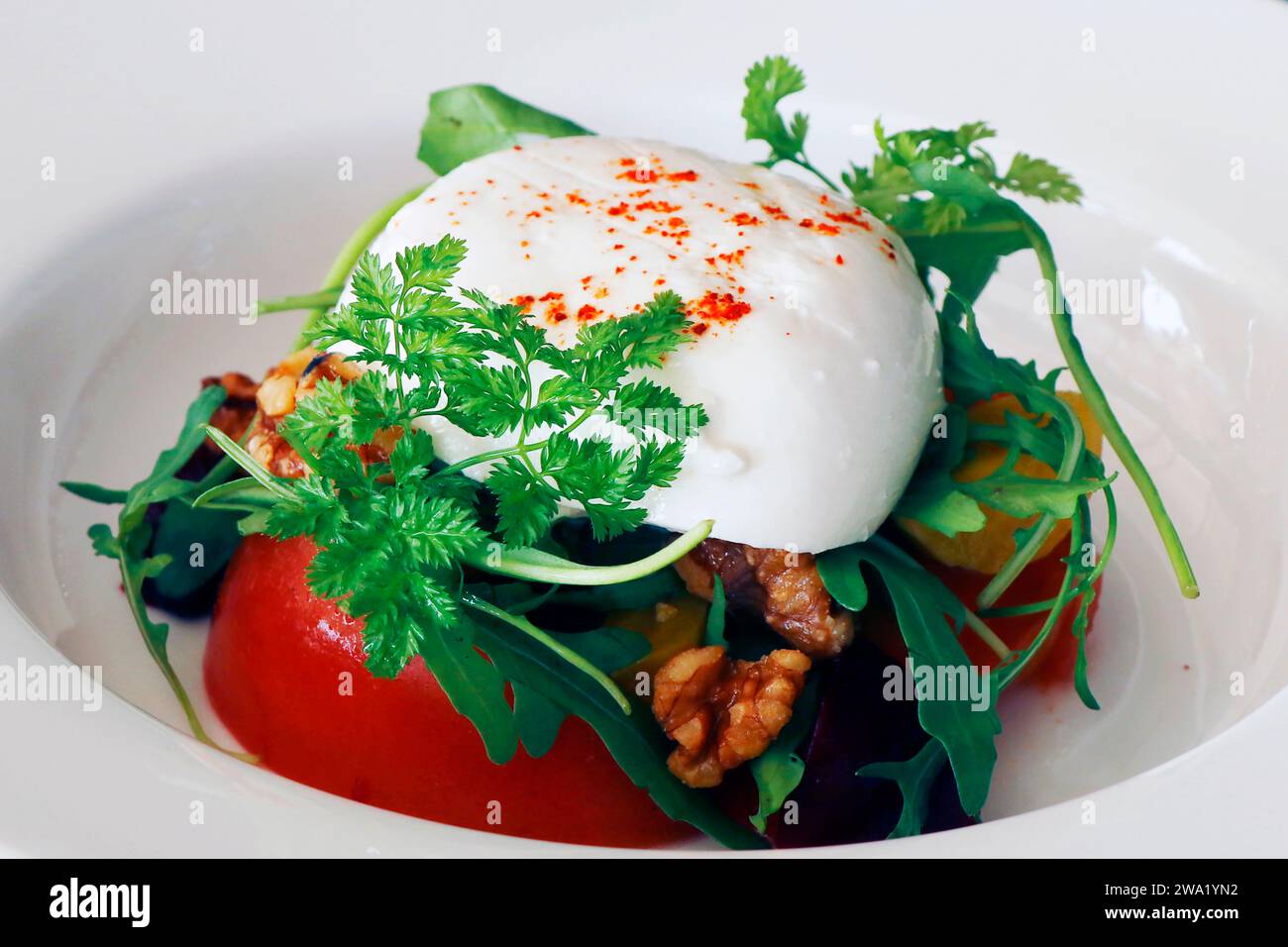 Mozzarella Burrata mit Tomatensalat Stockfoto