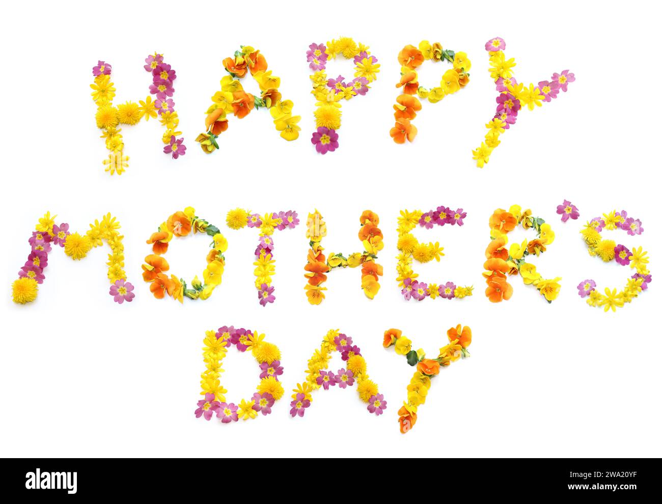 Text HAPPY MOTHER's DAY aus gelber und rosa Blume. blumenschrift kann als Poster, Postkarte, Gutschein, Gutschein, Geschenk, feiern Stockfoto